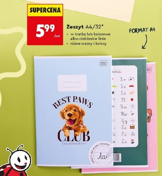 Zeszyt A4 w ofercie sklepu Biedronka