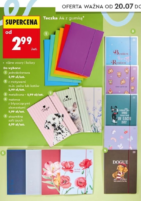 Teczka A4 w ofercie sklepu Biedronka
