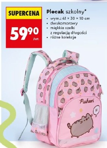 Plecak szkolny w ofercie sklepu Biedronka