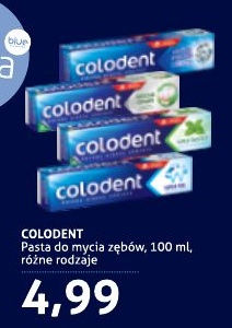 Colodent w ofercie sklepu Blue stop