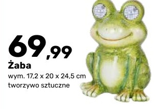 Żaba w ofercie sklepu BRICOMARCHE