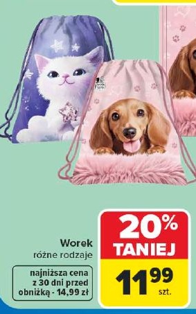 Worek w ofercie sklepu Carrefour