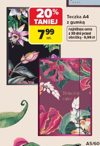 Teczka A4 z gumką w ofercie sklepu Carrefour