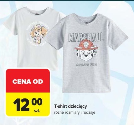 T-shirt dziecięcy w ofercie sklepu Carrefour