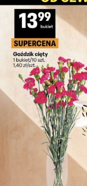 Goździk cięty w ofercie sklepu Delikatesy Centrum
