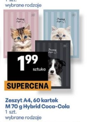 Zeszyt w ofercie sklepu Delikatesy Centrum