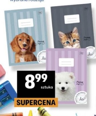 zeszyt w ofercie sklepu Delikatesy Centrum