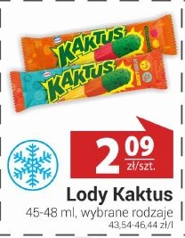 Lody Kaktus w ofercie sklepu Delikatesy Sezam