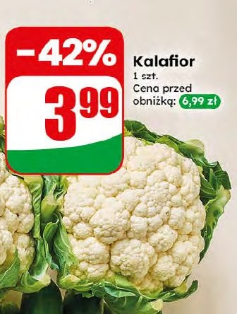 Kalafior w ofercie sklepu dino