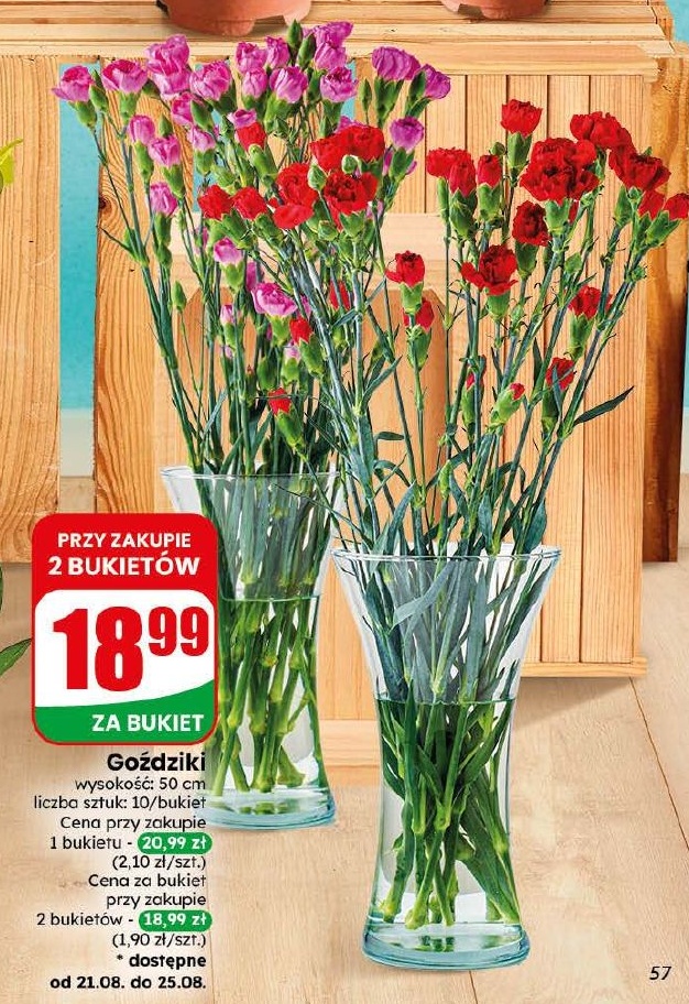 Goździki w ofercie sklepu dino