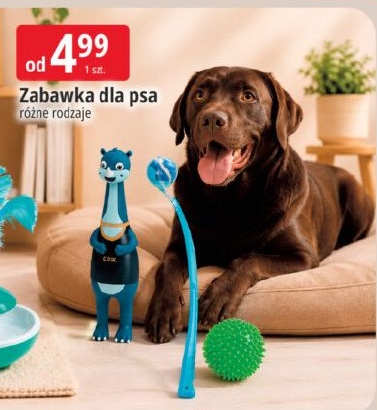 zabawka w ofercie sklepu E.Leclerc
