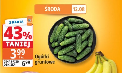 Ogórki gruntowe w ofercie sklepu E.Leclerc