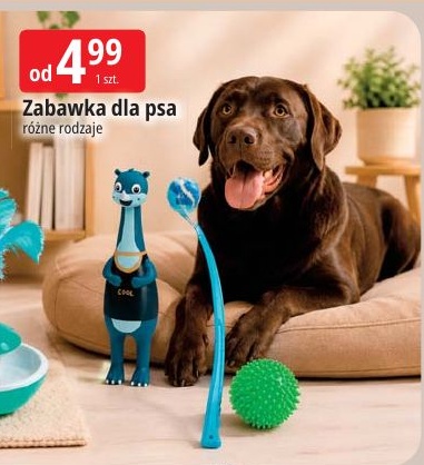 zabawka w ofercie sklepu E.Leclerc