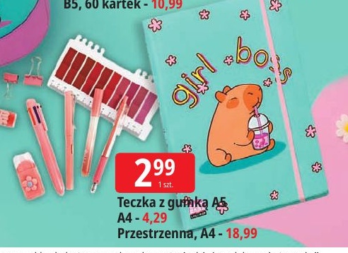 Teczka z gumką w ofercie sklepu E.Leclerc
