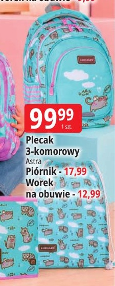 Plecak 3-komorowy Astra w ofercie sklepu E.Leclerc