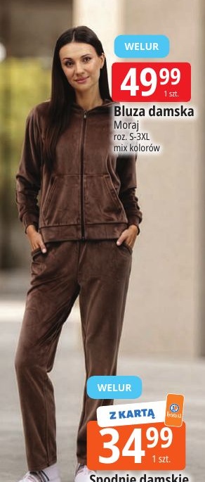 Bluza damska w ofercie sklepu E.Leclerc