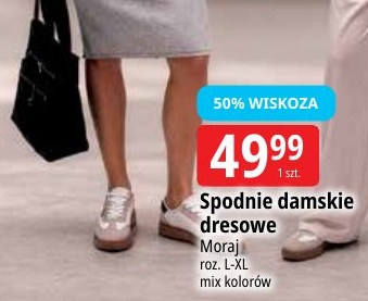 Spodnie damskie dresowe w ofercie sklepu E.Leclerc