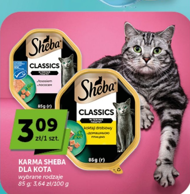 Karma Sheba w ofercie sklepu Euro Sklep