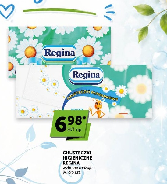 Chusteczki higieniczne Regina w ofercie sklepu Euro Sklep