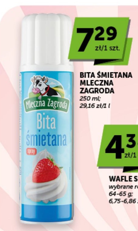 Bita śmietana w ofercie sklepu Euro Sklep