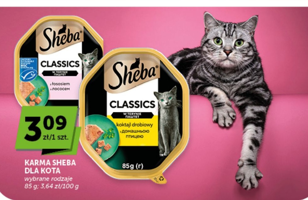 Karma Sheba w ofercie sklepu groszek