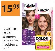 Palette w ofercie sklepu Laboo