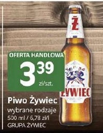 Piwo Żywiec w ofercie sklepu MarketVita