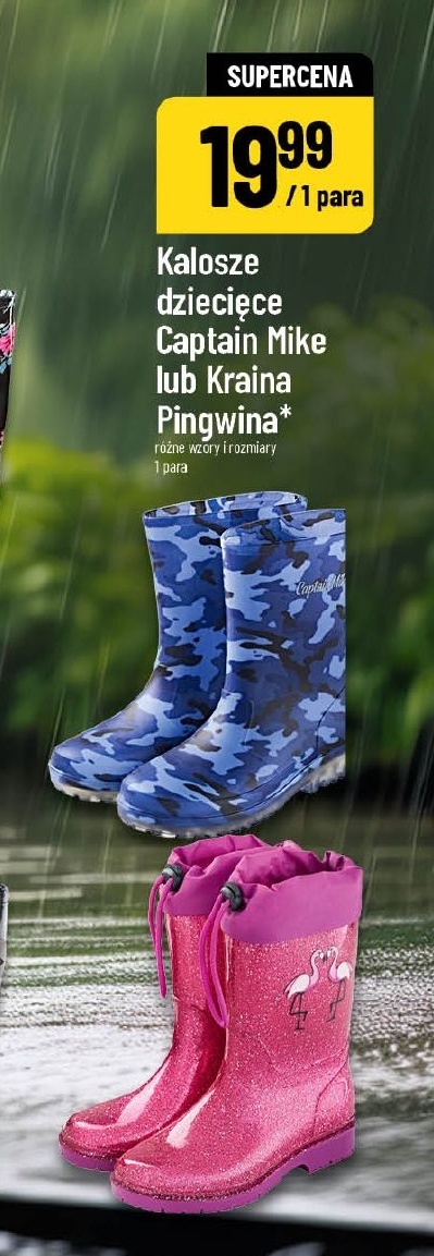 Kalosze dziecięce Captain Mike lub Kraina Pingwina w ofercie sklepu POLOmarket
