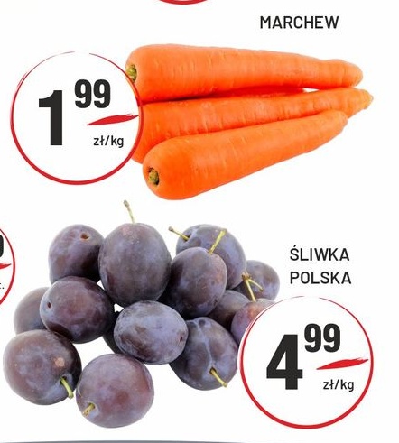 Marchew w ofercie sklepu Sedal