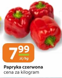 Papryka czerwona w ofercie sklepu Społem Częstochowa