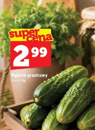 Ogórek gruntowy w ofercie sklepu Topaz